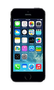 Apple iPhone 5S Gris Sidéral