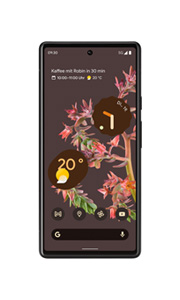 Google Pixel 6 Noir Carbone Google Pixel 6 Noir Carbone