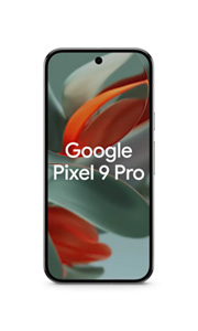 Google Pixel 9 Pro Vert Sauge