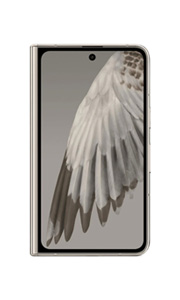 Google Pixel Fold Porcelaine