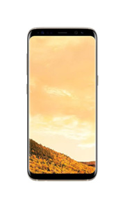 Samsung Galaxy S8 Or Samsung Galaxy S8 Or