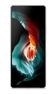 Sony Xperia 10 II Blanc