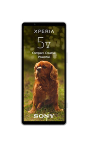 Sony Xperia 5 V Argent Platine
