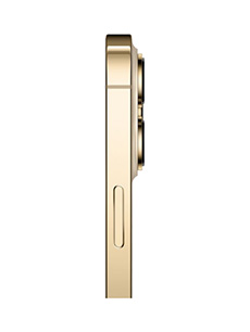 Apple iPhone 13 Pro Or Apple iPhone 13 Pro Or