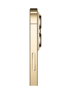 Apple iPhone 13 Pro Or Apple iPhone 13 Pro Or