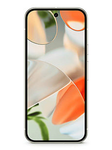 Google Pixel 9 Porcelaine