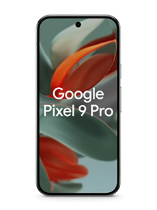 Google Pixel 9 Pro Vert Sauge Google Pixel 9 Pro Vert Sauge