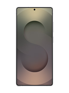 Samsung Galaxy S25 Ultra Argent Titane