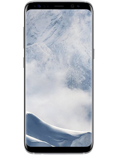 Samsung Galaxy S8+ Argent polaire