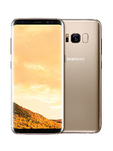Samsung Galaxy S8+ Or
