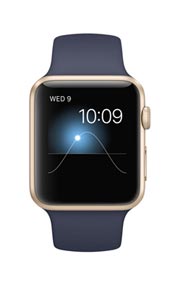 Apple Watch Sport Aluminium Or 42mm Bleu Nuit