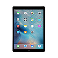 Apple iPad Pro Gris Sideral