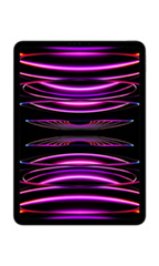 Apple iPad Pro 11 (2022) 16Go RAM Wi-Fi Gris Sidéral