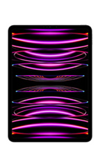 Apple iPad Pro 12.9 (2022) 16Go RAM Wi-Fi + Cellular Gris Sidéral