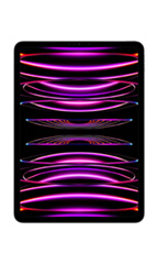 Apple iPad Pro 12.9 (2022) Wi-Fi + Cellular Gris Sidéral