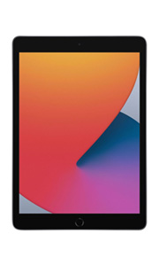 Apple iPad (2020) Wi-Fi + Cellular Gris Sidéral