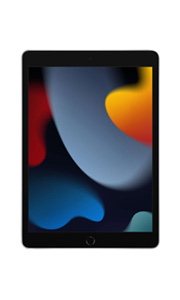 Apple iPad (2021) Wi-Fi + Cellular Argent