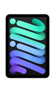 Apple iPad Mini 7 (2024) Wi-Fi + Cellular Gris Sidéral