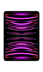 Apple iPad Pro 11 (2022) 16Go RAM Wi-Fi Gris Sidéral