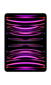 Apple iPad Pro 11 (2022) 16Go RAM Wi-Fi + Cellular Gris Sidéral