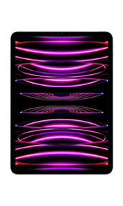 Apple iPad Pro 11 (2022) Wi-Fi Gris Sidéral