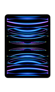 Apple iPad Pro 11 (2022) Wi-Fi Argent