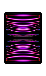 Apple iPad Pro 11 (2022) Wi-Fi + Cellular Gris Sidéral