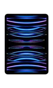 Apple iPad Pro 11 (2022) Wi-Fi + Cellular Argent