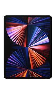 Apple iPad Pro 12.9 (2021) 16Go RAM Wi-Fi + Cellular Gris Sidéral