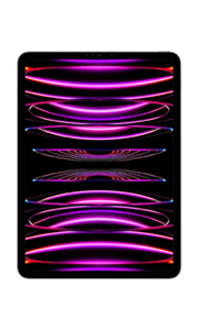 Apple iPad Pro 12.9 (2022) 16Go RAM Wi-Fi Gris Sidéral