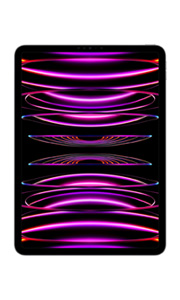 Apple iPad Pro 12.9 (2022) 16Go RAM Wi-Fi + Cellular Gris Sidéral