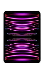 Apple iPad Pro 12.9 (2022) Wi-Fi Gris Sidéral