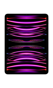 Apple iPad Pro 12.9 (2022) Wi-Fi + Cellular Gris Sidéral