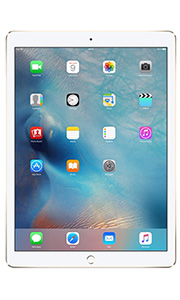 Apple iPad Pro 4G Or