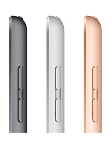 Apple iPad (2020) Wi-Fi + Cellular Gris Sidéral