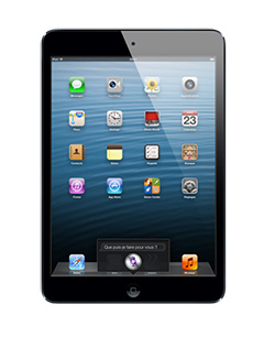 Apple iPad mini 3G Noir