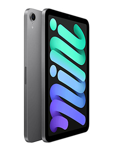 Apple iPad Mini 7 (2024) Wi-Fi Gris Sidéral