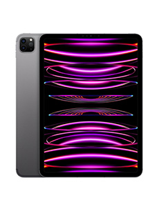 Apple iPad Pro 11 (2022) 16Go RAM Wi-Fi Gris Sidéral Apple iPad Pro 11 (2022) 16Go RAM Wi-Fi Gris Sidéral