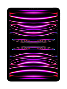 Apple iPad Pro 11 (2022) 16Go RAM Wi-Fi + Cellular Gris Sidéral Apple iPad Pro 11 (2022) 16Go RAM Wi-Fi + Cellular Gris Sidéral