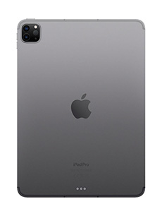 Apple iPad Pro 11 (2022) 16Go RAM Wi-Fi + Cellular Gris Sidéral