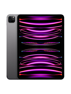Apple iPad Pro 11 (2022) 16Go RAM Wi-Fi + Cellular Gris Sidéral Apple iPad Pro 11 (2022) 16Go RAM Wi-Fi + Cellular Gris Sidéral