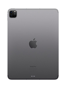 Apple iPad Pro 11 (2022) Wi-Fi Gris Sidéral