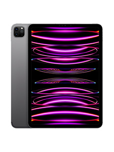 Apple iPad Pro 11 (2022) Wi-Fi Gris Sidéral