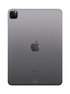 Apple iPad Pro 11 (2022) Wi-Fi + Cellular Gris Sidéral