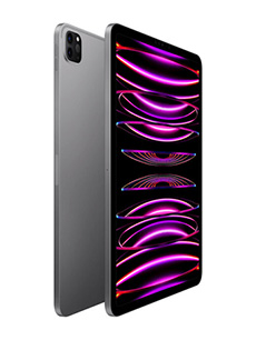 Apple iPad Pro 11 (2022) Wi-Fi + Cellular Gris Sidéral Apple iPad Pro 11 (2022) Wi-Fi + Cellular Gris Sidéral