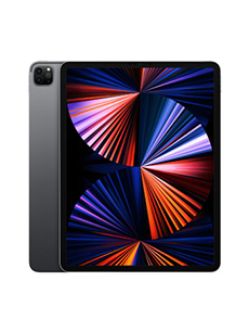 Apple iPad Pro 12.9 (2021) 16Go RAM Wi-Fi Gris Sidéral