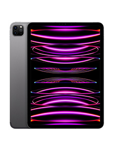 Apple iPad Pro 12.9 (2022) 16Go RAM Wi-Fi + Cellular Gris Sidéral
