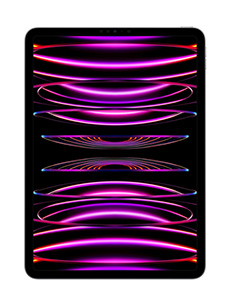 Apple iPad Pro 12.9 (2022) Wi-Fi Gris Sidéral Apple iPad Pro 12.9 (2022) Wi-Fi Gris Sidéral
