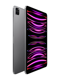 Apple iPad Pro 12.9 (2022) Wi-Fi Gris Sidéral Apple iPad Pro 12.9 (2022) Wi-Fi Gris Sidéral