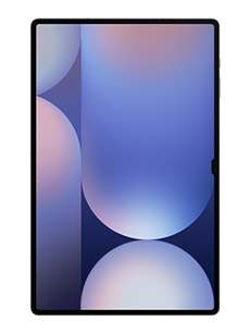 Samsung Galaxy Tab S10 Ultra Wi-Fi Gris